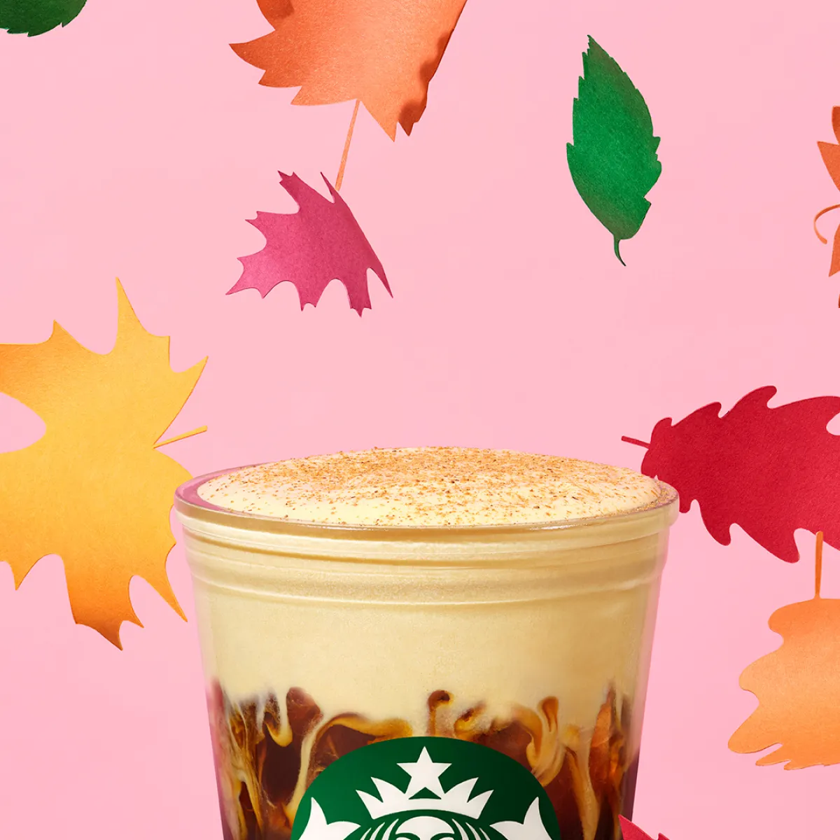 Pumpkin Cream Cold Brew