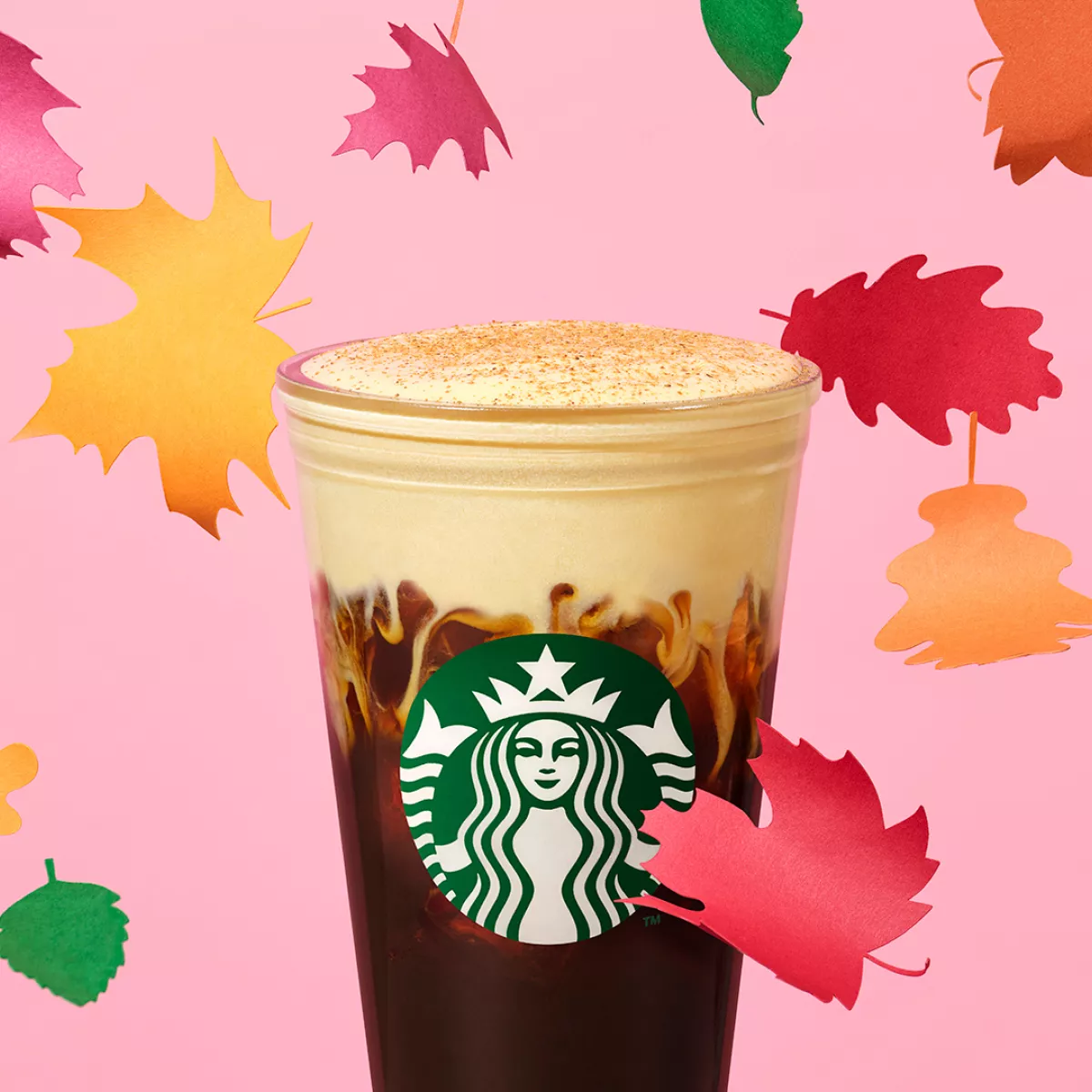 Pumpkin Cream Cold Brew 