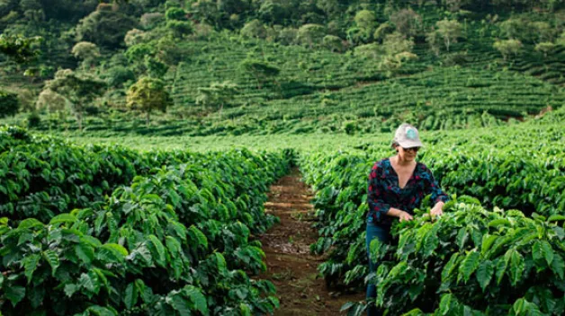 Responsibility_sustainability