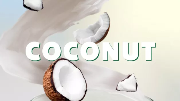 SBX_DAIRY-FREE_COCONUT_560x321.jpg